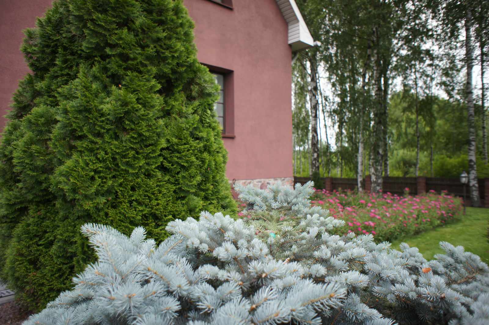 Деревенский сад