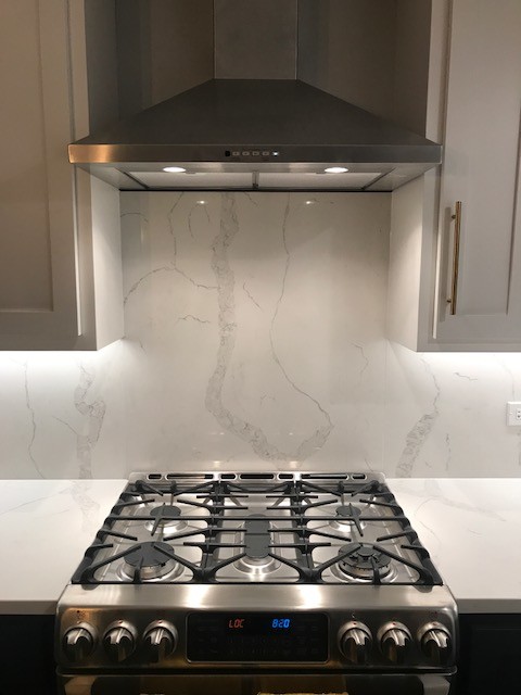 Inspiration for a large transitional home design remodel in Chicago