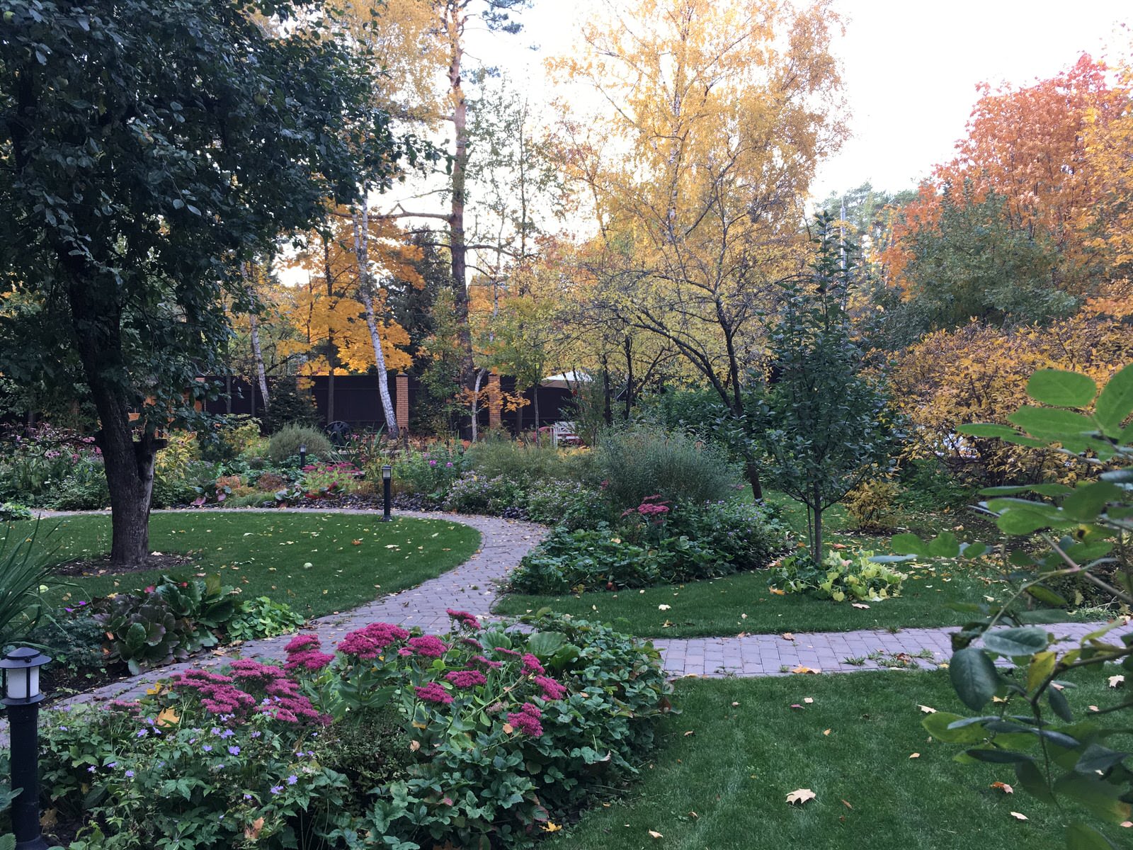 Белкин сад. Осень 2019