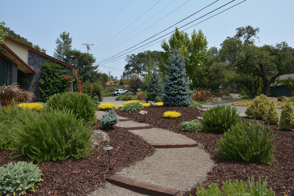 Design ideas for a mid-sized country front yard full sun xeriscape in San Francisco with a garden path and gravel.