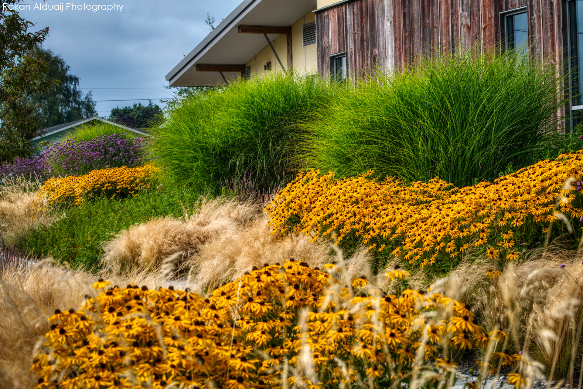 COMMERCIAL LANDSCAPE SERVICES
