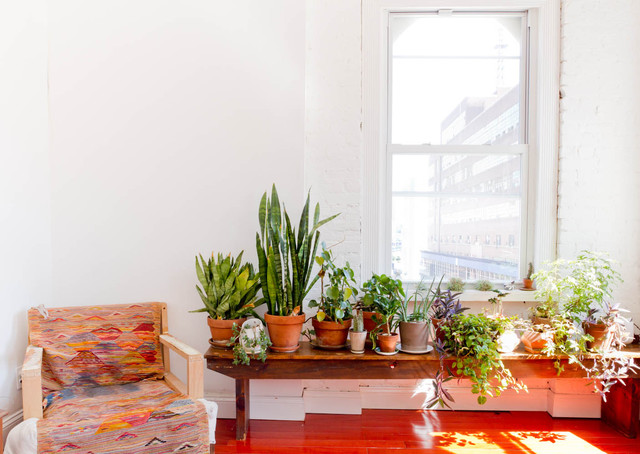 Houzz Tour: Eclectic, Minimalist Brooklyn Apartment eclectic-living-room