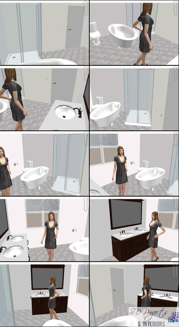 Bathroom Remodeling Project transitional