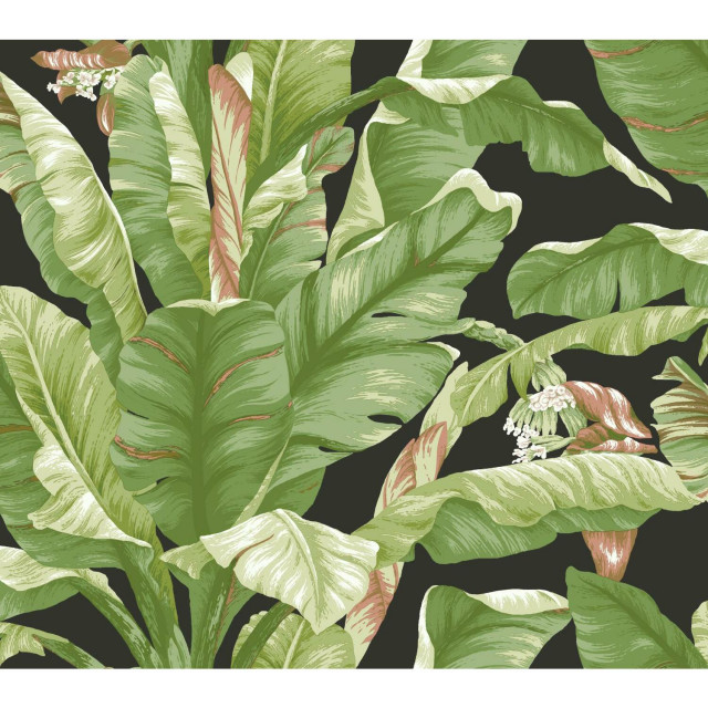 Banana Leaf Peel and Stick Wallpaper - Tropical - Wall Decals - by York