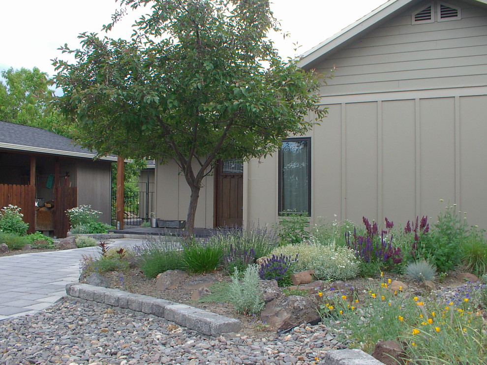 Design ideas for a mid-sized country front yard full sun xeriscape for summer in Other with a garden path and concrete pavers.