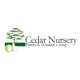 Cedar nursery