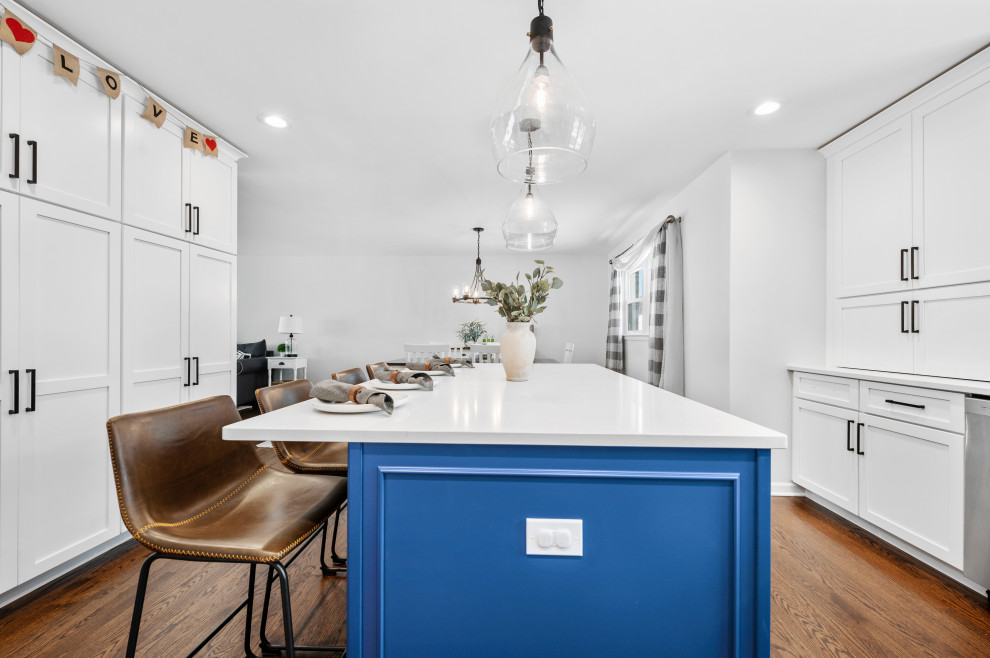 Inspiration for a transitional kitchen remodel in Chicago