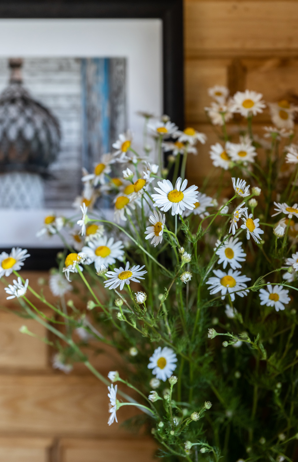 Сказочный домик под Суздалем