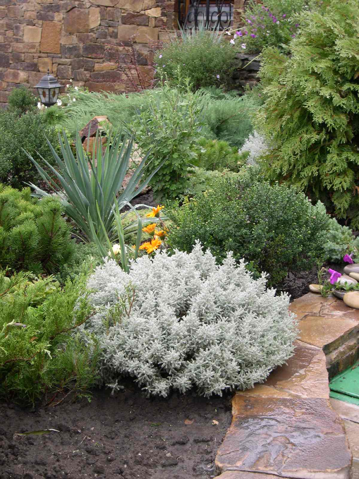 Ландшафт загородного дома