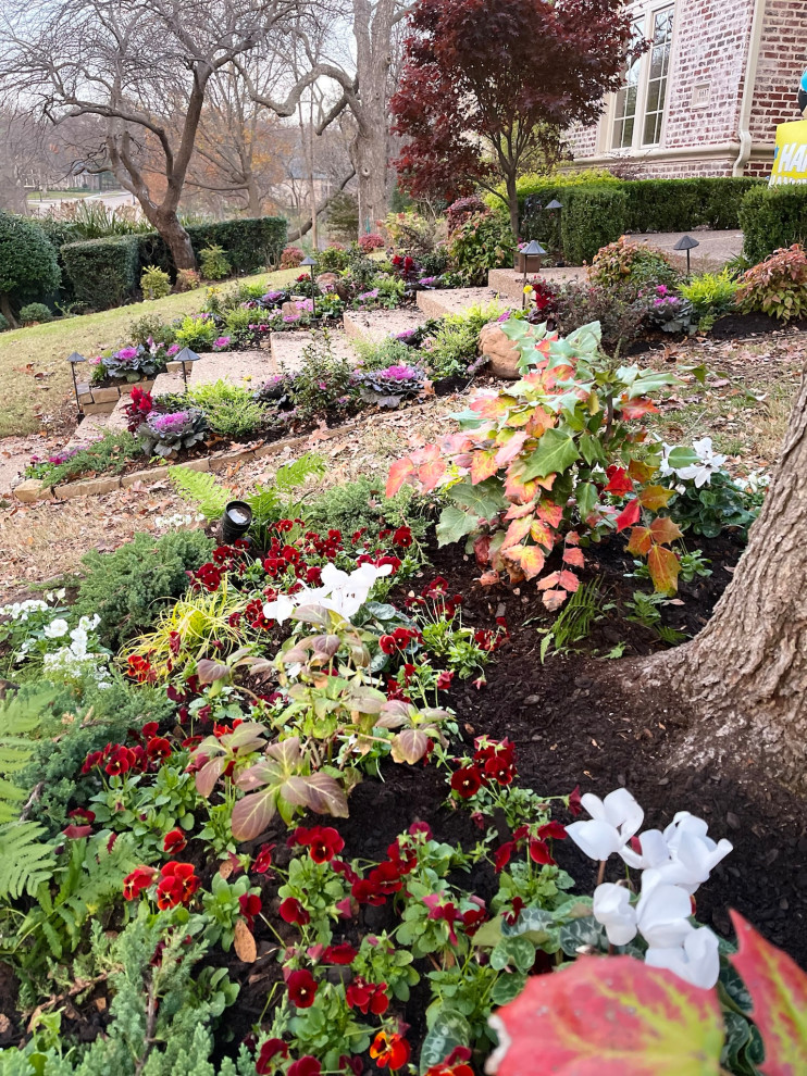 Oak Lawn Residential Landscape