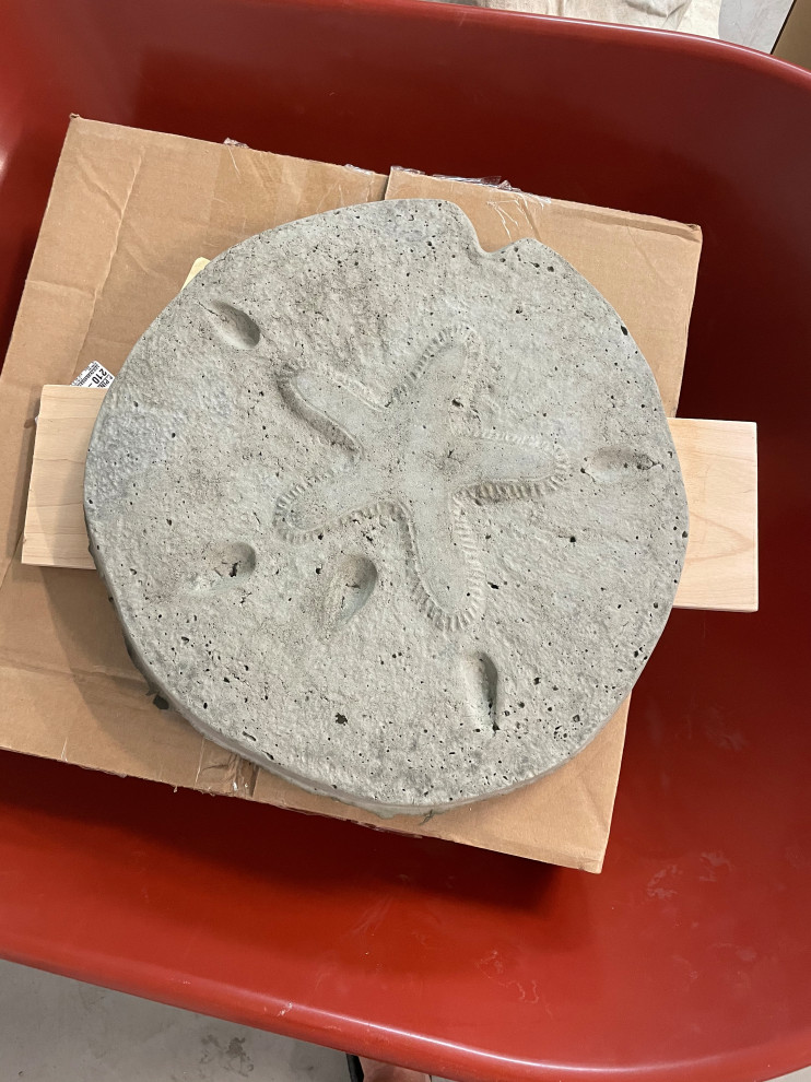 Sand dollar stepping stone molds for sale.