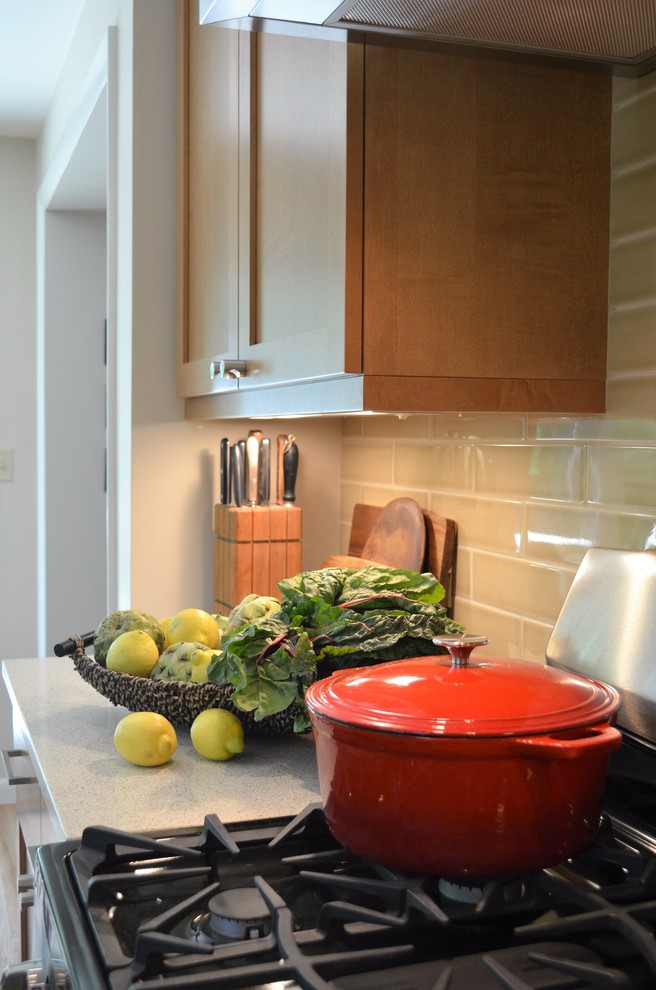 Home design - transitional home design idea