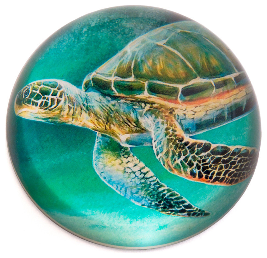 Glass Dome Sea Turtle Paper Weight