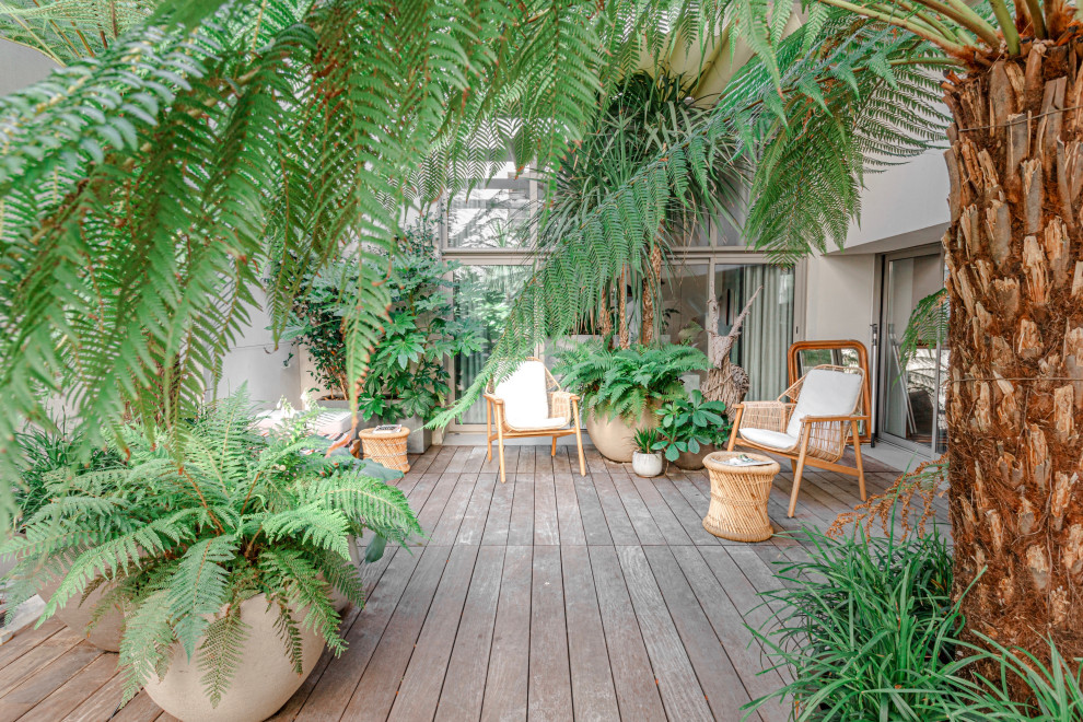 Tropical patio in Paris with a container garden, decking and a pergola.