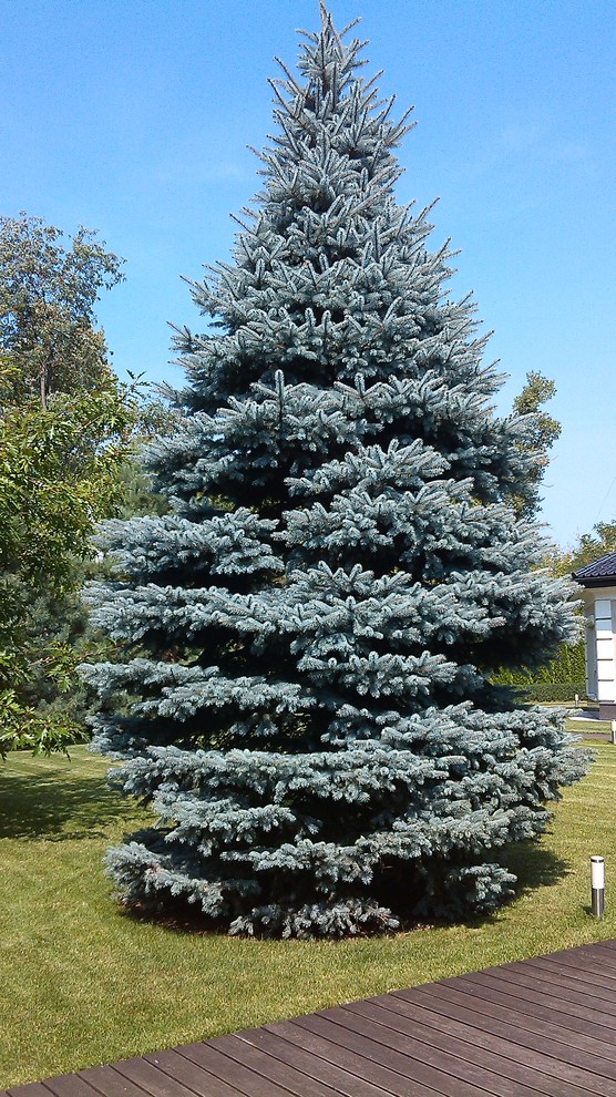 Строгость мужского ландшафта