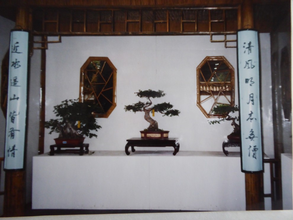 Japanese & Chinese Garden