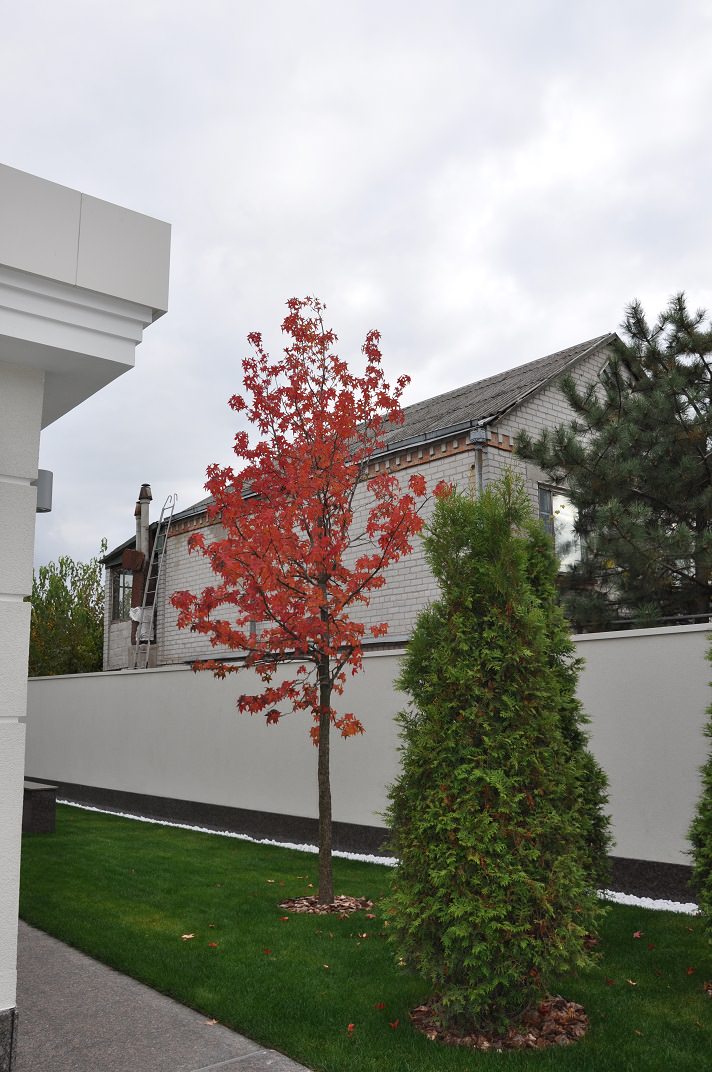 Private modern garden / Частный современный сад.