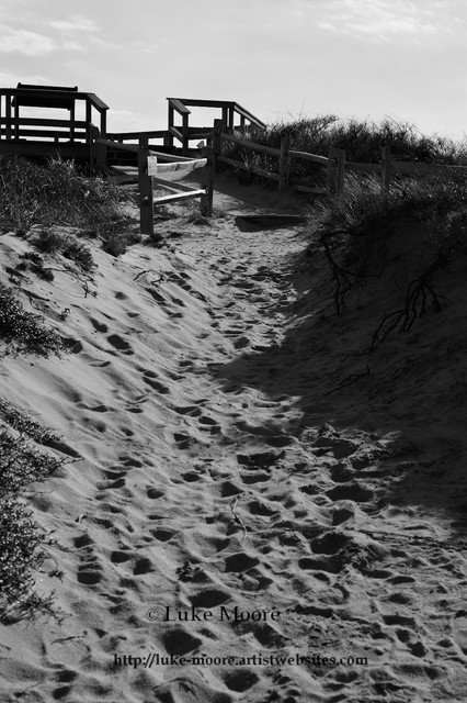 Pathway Through the Dunes