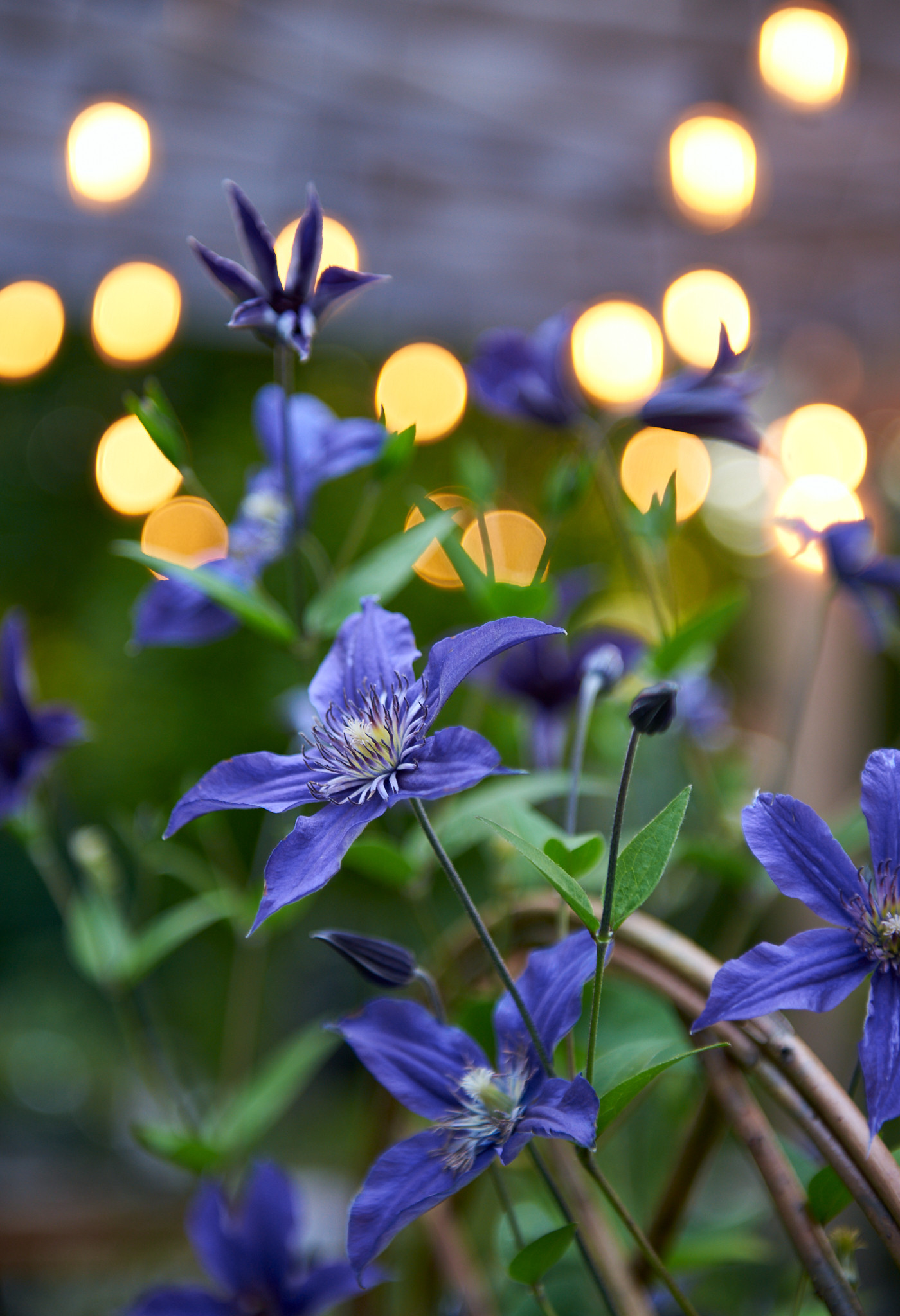 Rustic Backyard Landscape - Cedarburg, WI