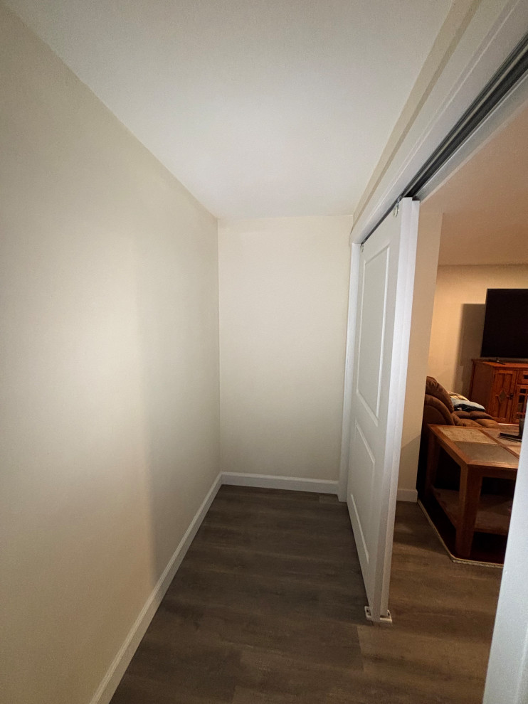 Basement Remodel