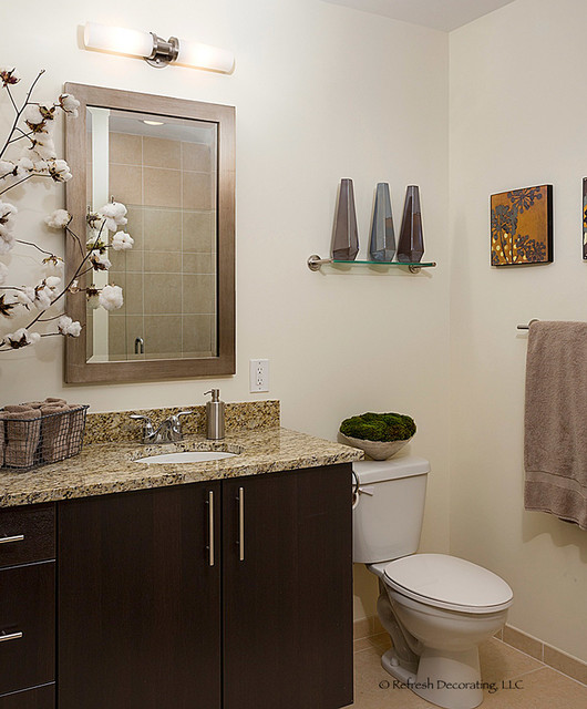 Transitional Bathroom transitional-bathroom