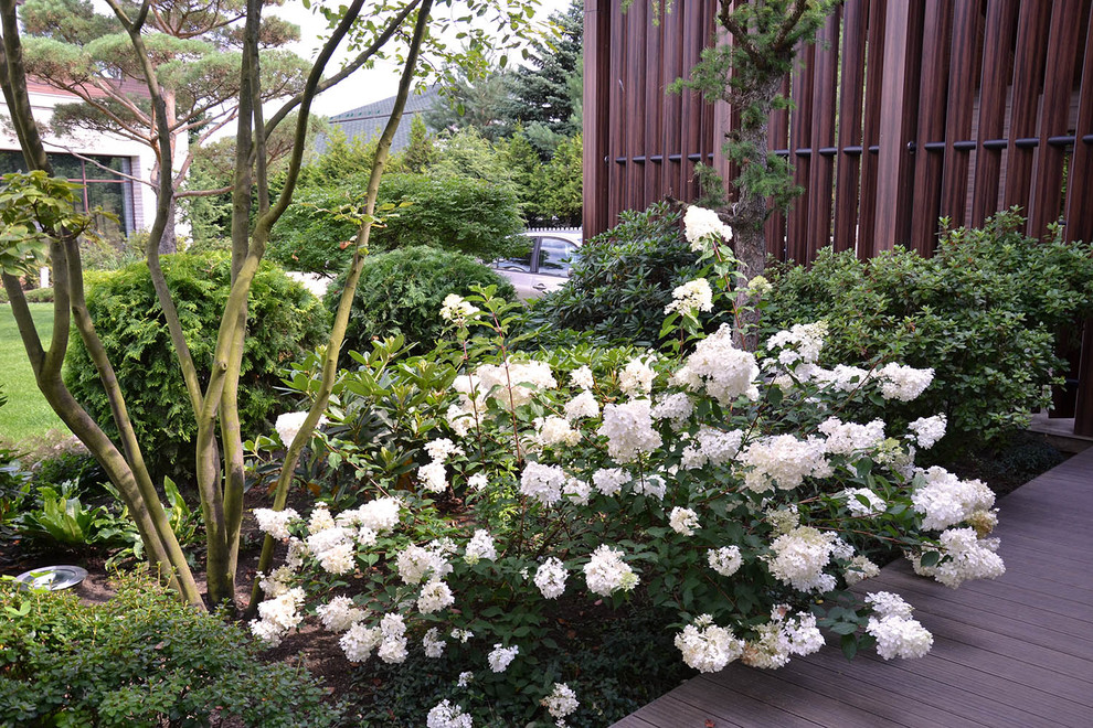 Современный сад в КП "Бенилюкс" вилла 2