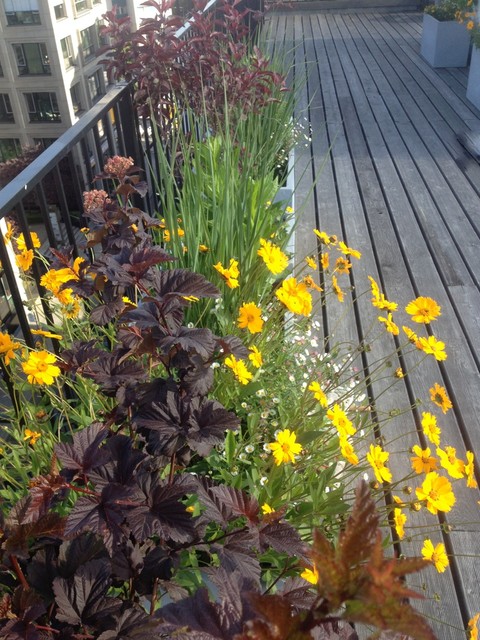 Gro&szlig;es Sonnendeck in urbaner Umgebung deck