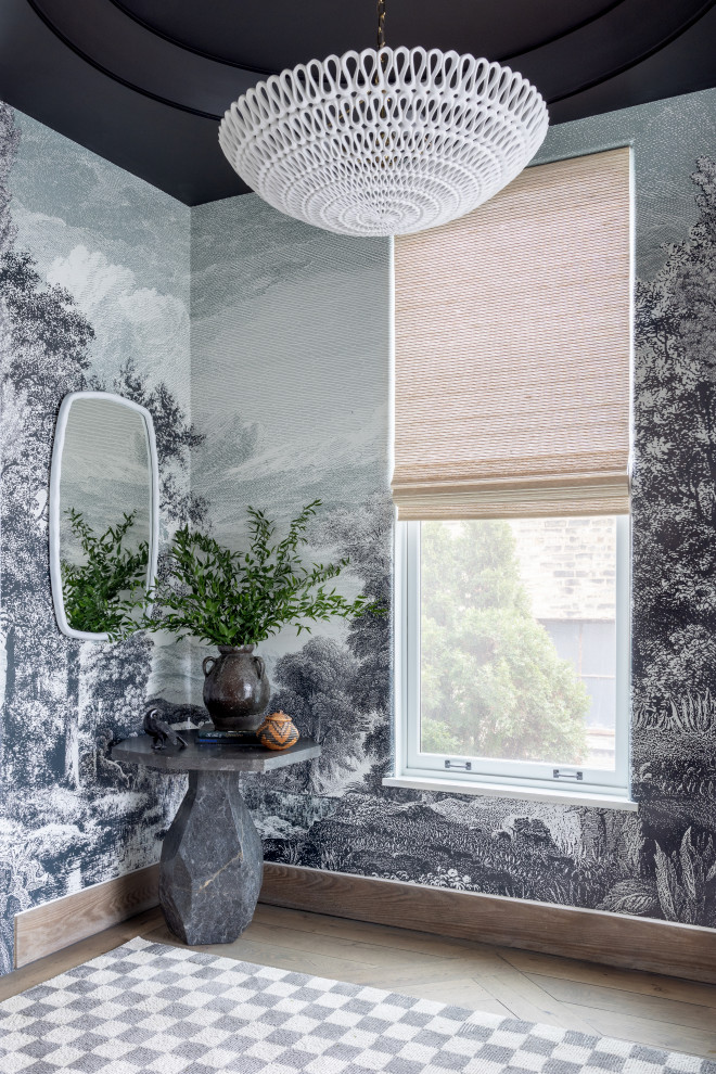 Example of a transitional entryway design in Chicago