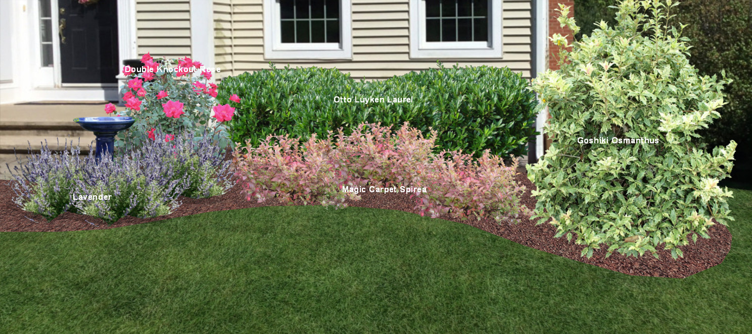 Foundation Plantings