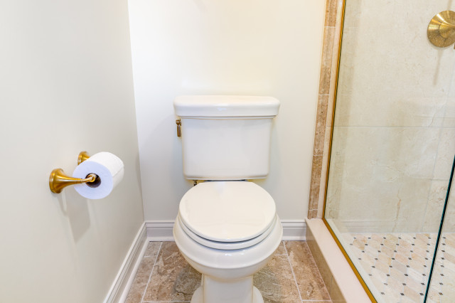 Luxurious Primary Bath Remodel Dublin Ohio traditional-bathroom