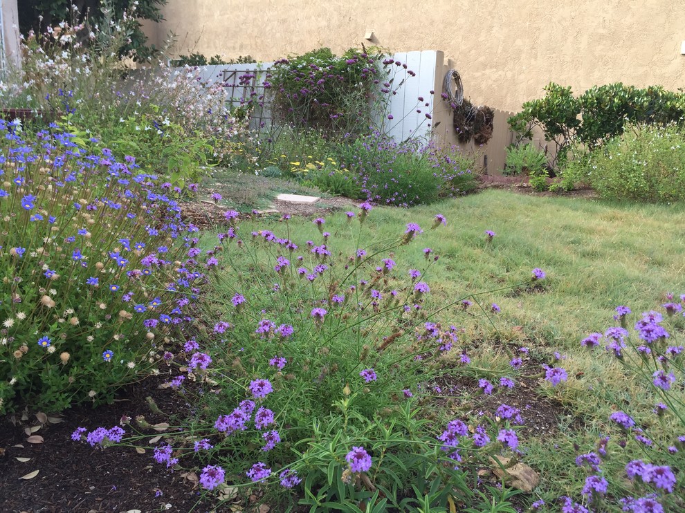 Inspiration for a mid-sized traditional front yard full sun garden for spring in San Diego.