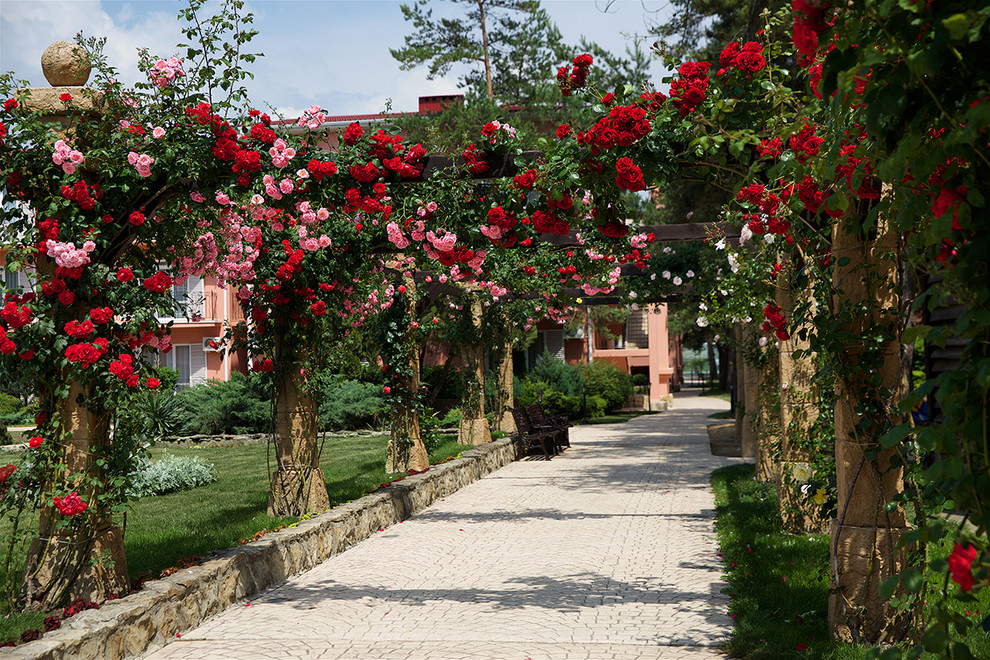 Отель Ривьера