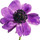 webuser_593269995
