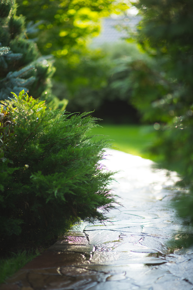 Регулярная классика