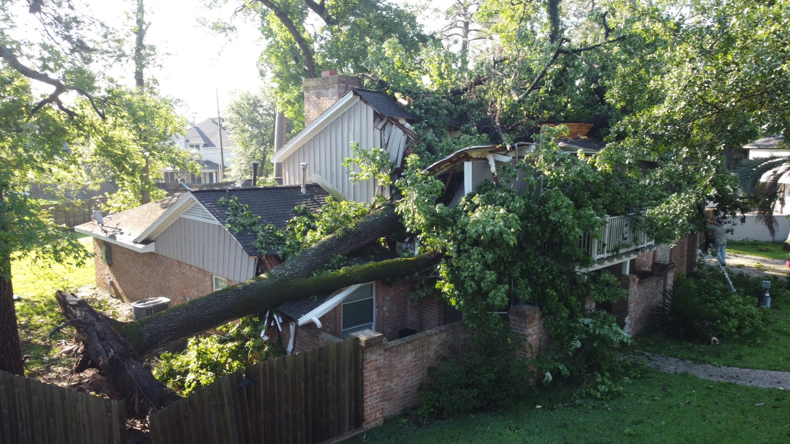 Full Tree Rebuild