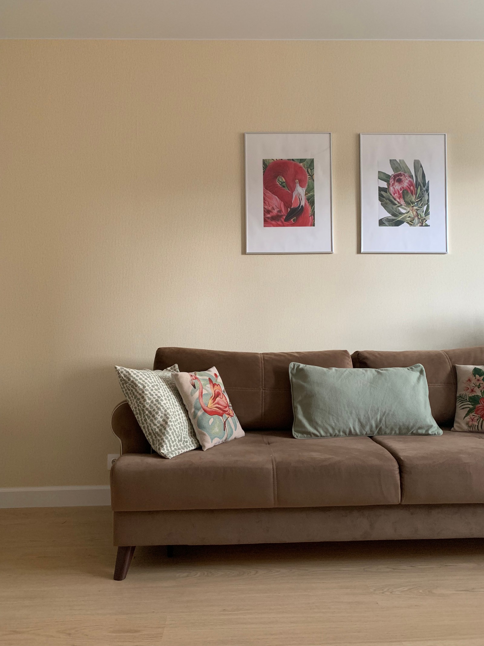 Там, где живут фламинго