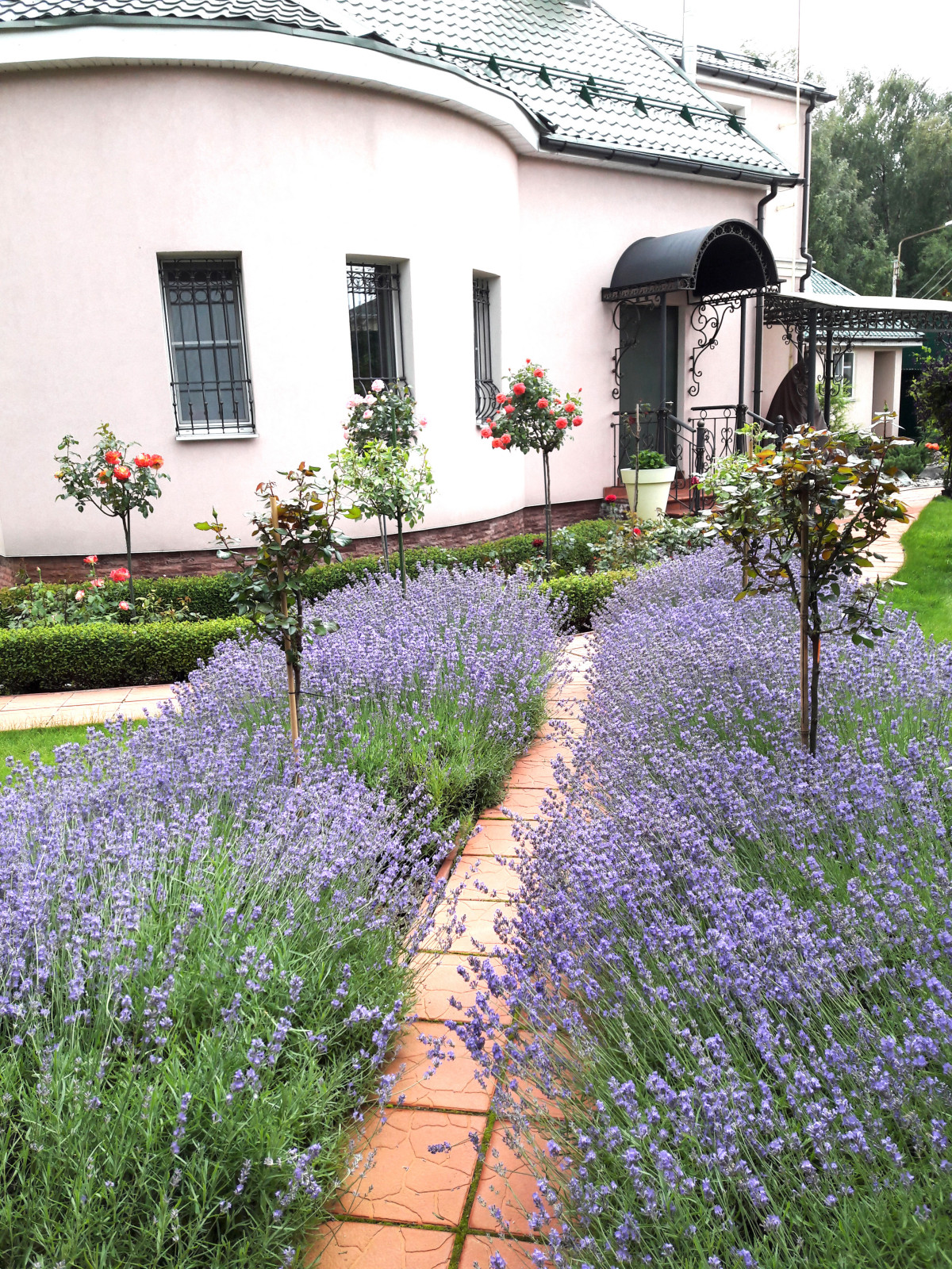 Французский садик в поселке Рыбаки Дмитровское шоссе