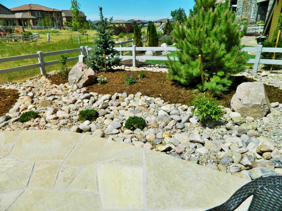 This is an example of a mid-sized contemporary backyard full sun xeriscape in Denver with with rock feature.