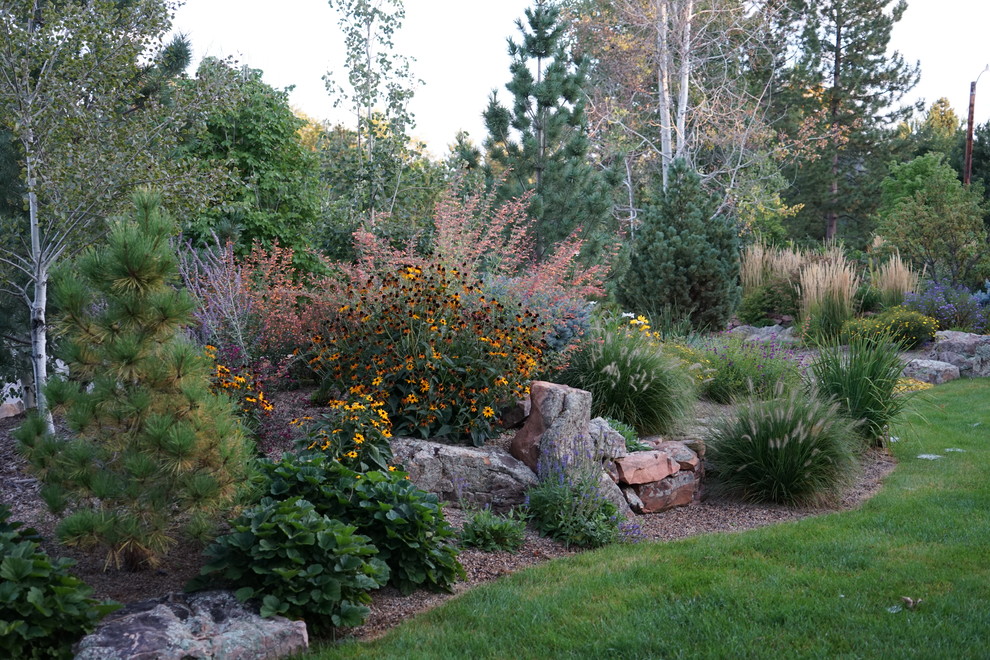 Mid-sized traditional full sun garden in Denver with mulch.