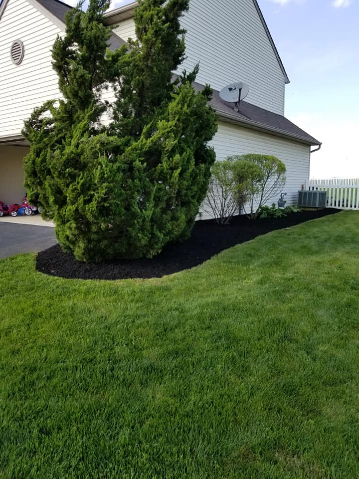 Landscaping projects
