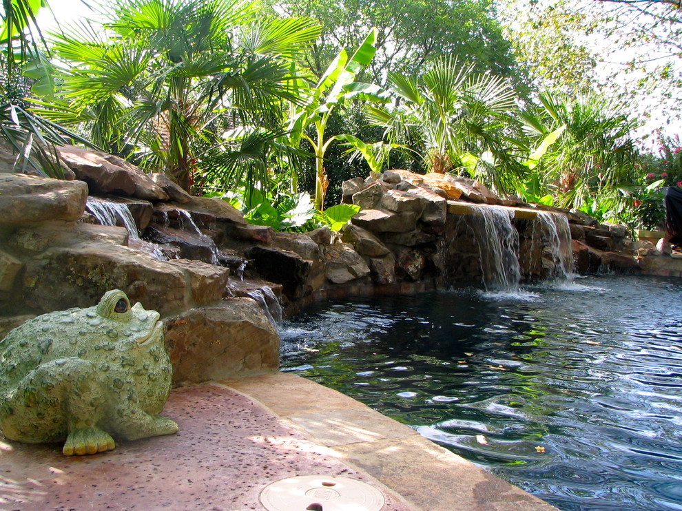 Design ideas for a mid-sized tropical backyard custom-shaped lap pool in Dallas with a hot tub.