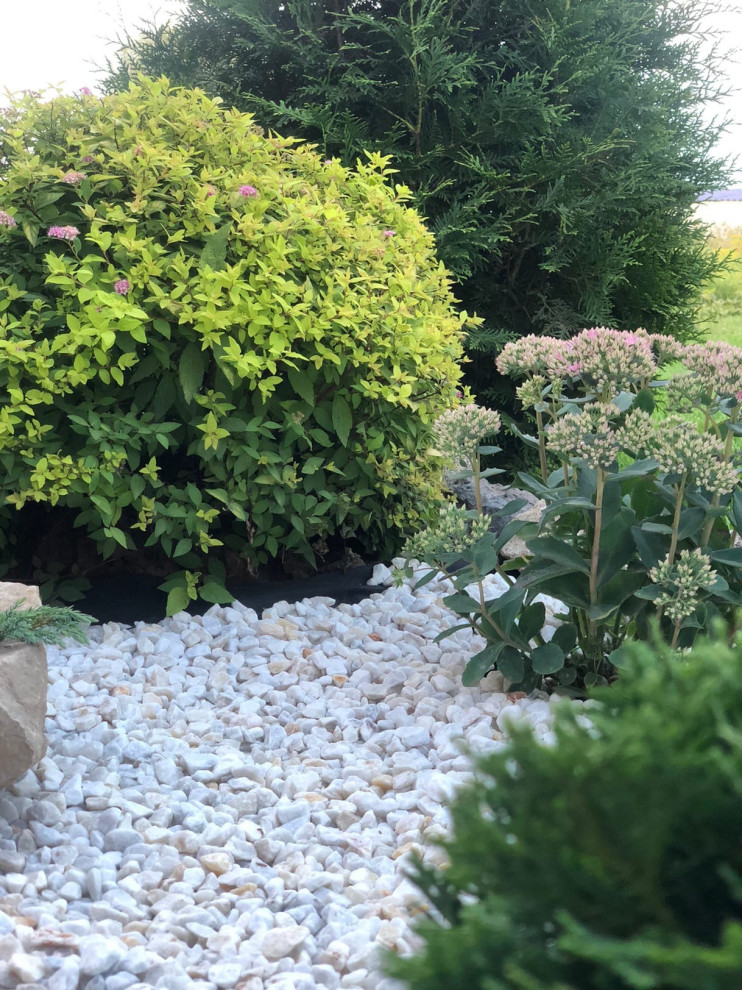 Проектирование цветников 2018-2020