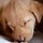 webuser_127097