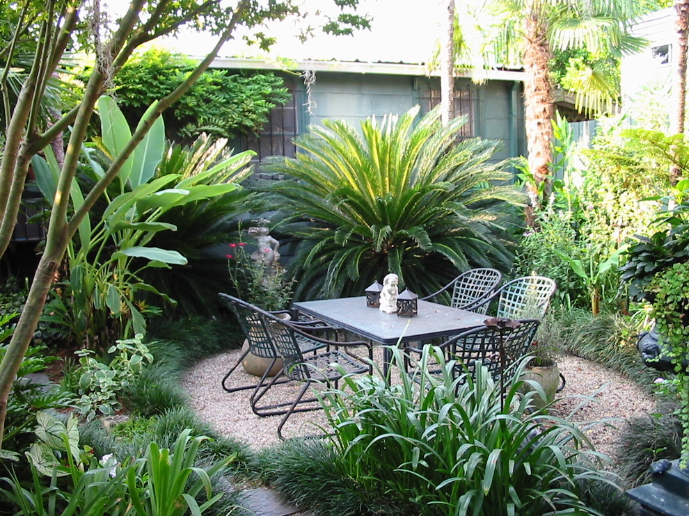 Design ideas for a tropical garden in New Orleans.