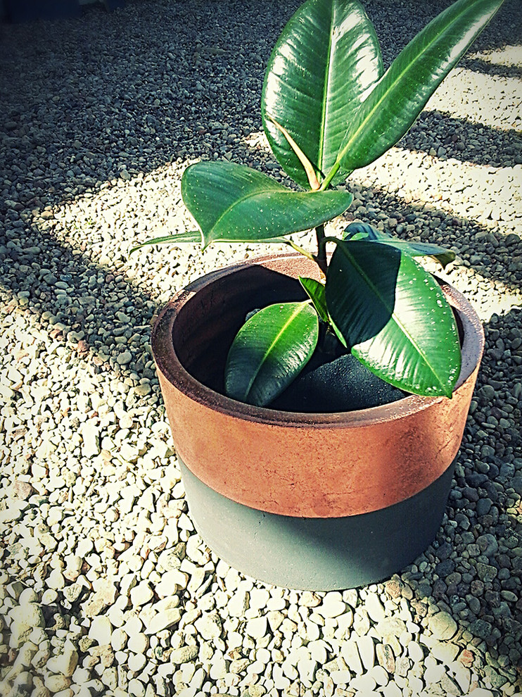 Кашпо и горшки для цветов и растений из микробетона.