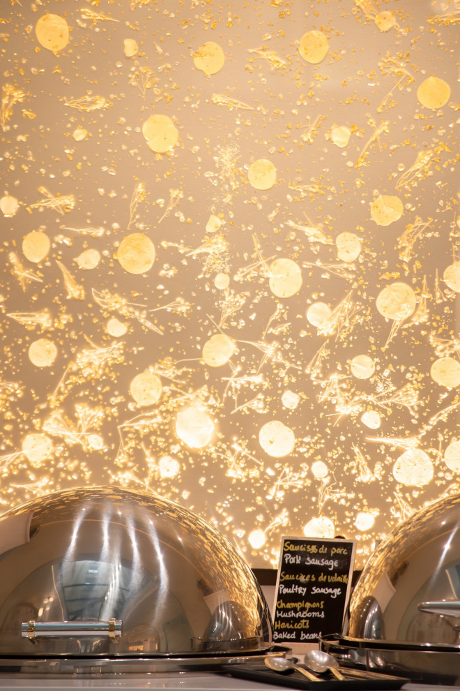 Hotel Claridge - 75008 Paris