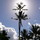 jenny_brady5524