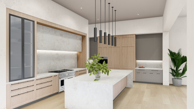 Lincoln transitional kitchen transitional-rendering