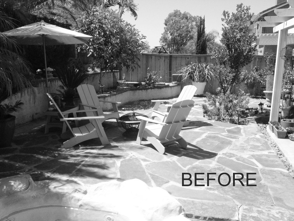 BEFORE photo of unused backyard