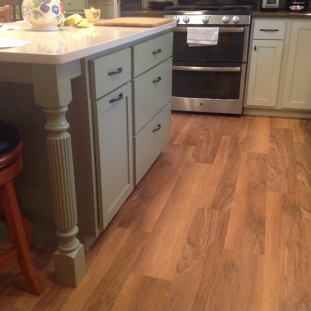 Inspiration for a traditional kitchen in Minneapolis with vinyl floors.